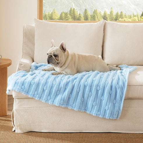 Bedsure Dog Blanket for Medium Dogs - Washable Soft Fluffy Puppy Blanket with Premium Coral Fleece, Blue, 30x40IN