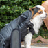 Mr. Pen Adjustable Pet Dog Carrier Backpacks - Hiking Travel Backpack for Dogs, Puppy Front Carrier
