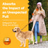 Shock Absorbing Bungee Dog Leash 4-7 ft. for Golden Retrievers with Padded Handle, Seatbelt Buckle, Reflective