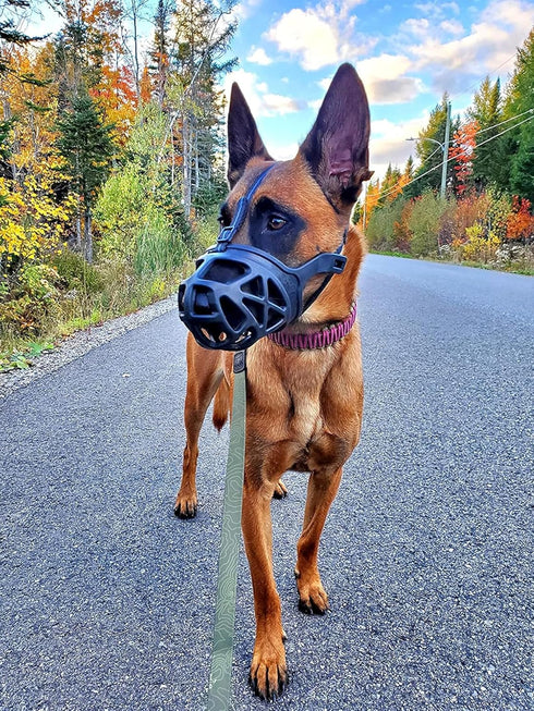 Mayerzon Dog Muzzle - Breathable Basket Muzzles for Small to X-Large Aggressive Dogs, Cage Mouth Guard for Training