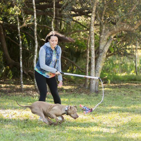 Flirt Pole V2 Dog Exercise Toy Bundle with 2 Lures and 1 Tug, 36-inch, Rainbow Tie Dye