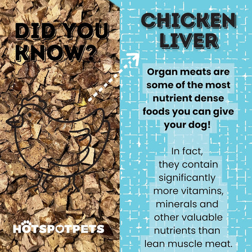 '-1LB Bag~300pcs hotspot pets Freeze Dried Chicken Liver Treats for Cats & Dogs Big -Made in USA- Single Ingredient All