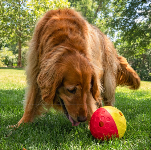 1 5.8" Outward Hound by Nina Ottosson Treat Tumble Interactive Food-Dispensing Dog Puzzle Ball, Level Beginner, Large