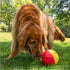 1 5.8" Outward Hound by Nina Ottosson Treat Tumble Interactive Food-Dispensing Dog Puzzle Ball, Level Beginner, Large