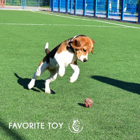 Dog Rope Toy for Active Chewers, Heavy Duty Washable 100% Cotton Chew Toys, Tug of War Toy, Pack of 9 for Small Breeds