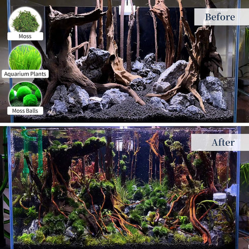 majoywoo Natural Large Driftwood for Aquarium Decor, 12.5-18" Reptile Decor, 2 Pcs