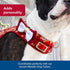 Coastal Pet Accent Metallic Dog Collar Embellishment, One Size, Burgundy Bow