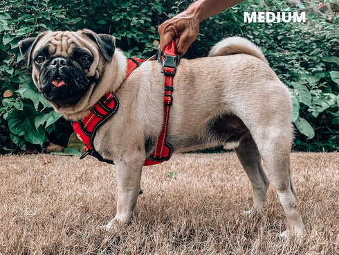 Tuff Pupper Anti Pull Heavy Duty Dog Harness, Comfortable Padded Training Vest with Reflective Safety Handle for Small