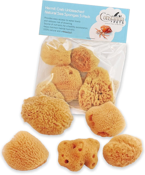 Hermit Crab Real Sea Sponges, 5 Pack Unbleached for Nutrients and Habitat Tank Humidity