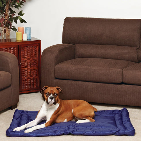 Water-Resistant Beds - Durable Nylon Beds for Dogs and Cats, Large, Royal Blue
