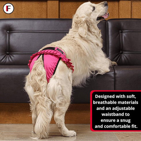 FINNERO Ballerina Dog Diaper Washable, Reusable, Leak-Proof Heat, Period & Urine Incontinence Protection Comfortable