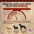 COUNTRY 10" 8 Count THE BUTCHER Rib Bones Large - Beef Rib Bones, Natural Long-Lasting Chews for Medium, Large Breeds