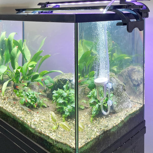 boxtech Aquarium Air Stone, Fish Tank Bubble Diffuser with Check Valve and Suction Cup