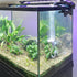 boxtech Aquarium Air Stone, Fish Tank Bubble Diffuser with Check Valve and Suction Cup