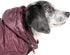 Pet Life Sporty Avalanche Lightweight Dog Coat - Adjustable Jacket with Concealed Zippered Collar & Pop-Out Hood for