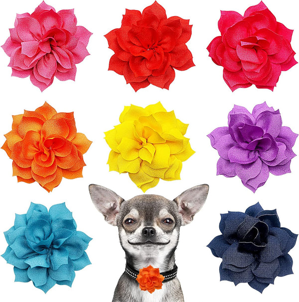 PET SHOW Small Dog Collar Charms, Bowties for Cats, Rabbits, Slide on Puppies, Medium Dog Collars, Flower Bows