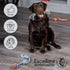 Dog Chew Toys - Puppy Teething Rope Toy Set for Small Dogs, Washable Cotton Tug Toys
