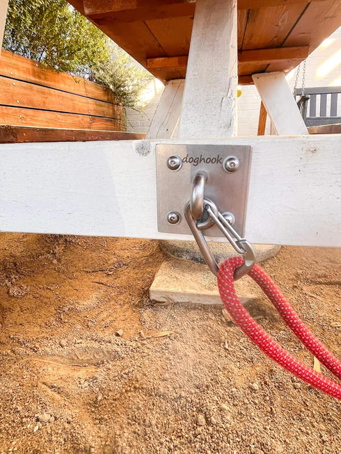 Canine Hitch Secure Dog Leash Wall Hook with Stainless Steel & ABS Mounting Plate - Large with Clip