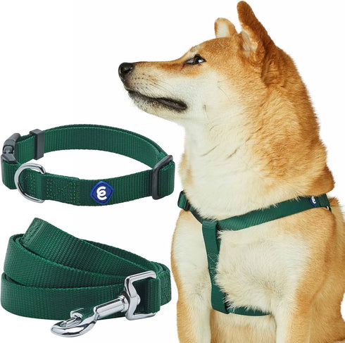 Blueberry Pet Essentials Adjustable Dog Collar Leash Harness Set, Verdant Green for Large Dogs