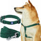 Blueberry Pet Essentials Adjustable Dog Collar Leash Harness Set, Verdant Green for Large Dogs