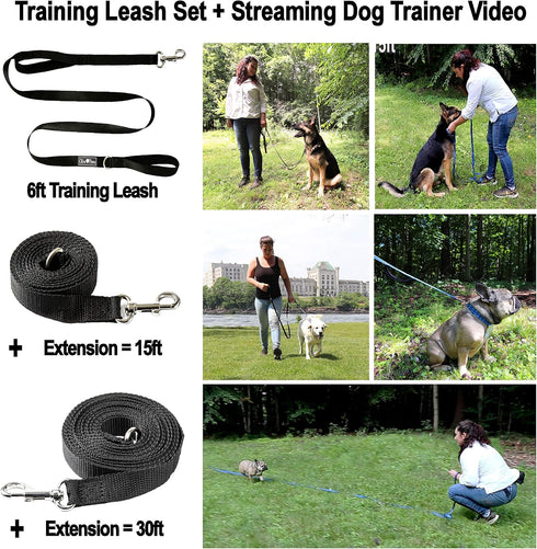 30 ft Dog Leash | Small Dogs, Medium, Large | Training Dog Leash Set 6ft, 15ft, 20ft, 30ft Long Dog Lead Dog Training Leash for Dogs Puppy Training, & Bonus Instructional Video (Black)