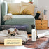 24 Begley's Pet Stain and Odor Remover - Pet Odor Eliminator for Home - Pet Urine Enzyme Cleaner - Pet Carpet Cleaner