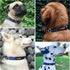 Tuff Pupper Heavy Duty Dog Collar, Tough Reflective Collar with Aluminum D-Ring Leash Clip, Easy Sizing for All Breeds