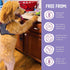 Health Extension Wet Dog Food, Chicken Recipe, Gluten and Grain-Free, Canned for Puppies, 5.5 Oz (Pack of 24)