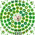 80pcs St.Patrick's Day Dog Hair Bows, Holiday Small Pet Grooming Bows with Rubber Bands, Green Clover Accessories