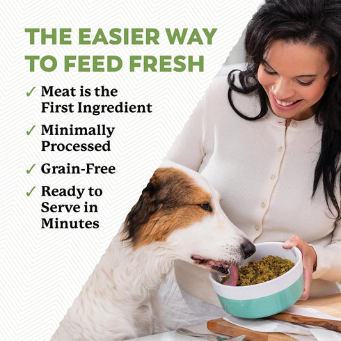 Dr. Harvey's Beef & Garden Veggies Dog Food - Human Grade Grain-Free Dehydrated Food, Trial Size (5.5 Oz)