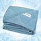 PetAmi Premium Cooling Dog Blanket, Lightweight Fluffy Pet Throw Blanket for Dogs, Cats, Puppies, Reversible Furniture
