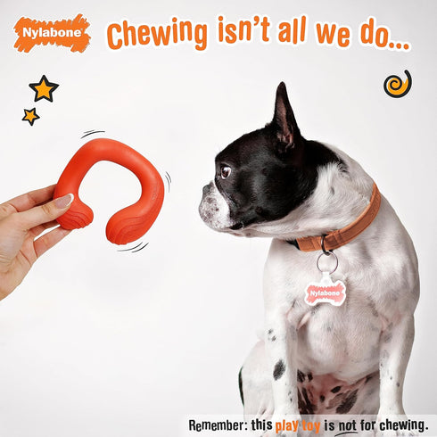 Nylabone C-Shuu Interactive Dog Toy for Small Dogs, Lightweight Squishy Chase Toy for Creative Play
