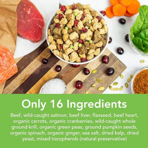 Simple Food Project Beef & Salmon Recipe, Freeze Dried Raw Food for Dogs, 24 oz