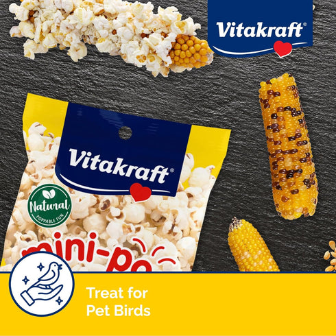 Vitakraft Mini-Pop Corn Cob Bird Treat, 6 Ounce, Pack of 1