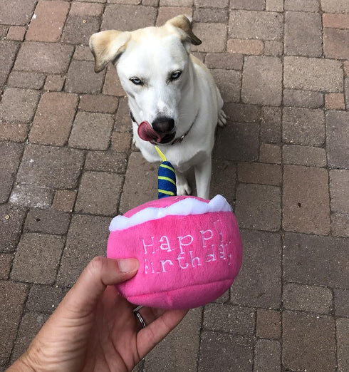 Plush Birthday Dog Toys - Pink Birthday Cake Toy with Squeaker for Small, Medium, and Large Dogs