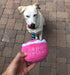 Plush Birthday Dog Toys - Pink Birthday Cake Toy with Squeaker for Small, Medium, and Large Dogs