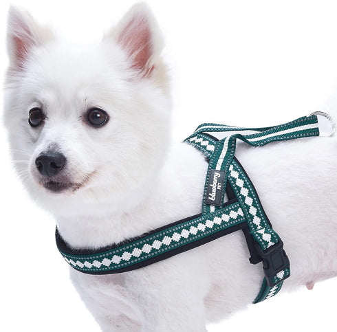 Blueberry Pet 6 Colors Soft & Comfy Jacquard Padded Dog Harness, Teal Blue, S/M, Chest Girth 21.5" - 27.5"