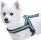 Blueberry Pet 6 Colors Soft & Comfy Jacquard Padded Dog Harness, Teal Blue, S/M, Chest Girth 21.5" - 27.5"