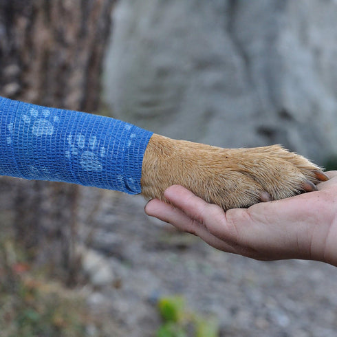 Pet Cohesive Bandage Wrap Tape, Self-Adhering Elasticity Gauze Rolls for Dogs, Cats, Horses, Birds (White and Blue)