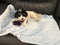 Super Soft Premium Pet Blankets | Best Friend Blue Pet Blanket, 30" x 40", Designed for Puppies & Kittens
