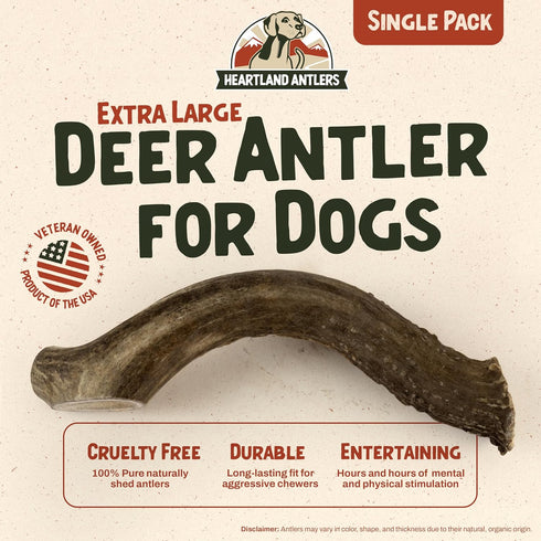 Heartland Deer Antlers for Dogs - Daily Dental Care Chews, X-Large 8-10", 1-Pack, Grade A, USA Made