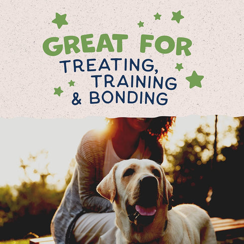 Natural Balance Limited Ingredient Rewards Crunchy Biscuits, Vegetarian Dog Treats, Peanut Butter Recipe, 14 Ounce