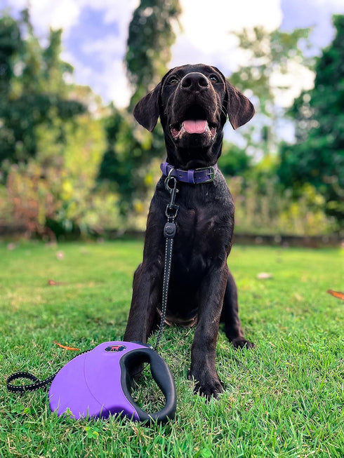 Tuff Pupper Heavy Duty Retractable Dog Leash, 16 ft with Reflective Stitching for Nighttime Safety for Dogs Up to 120