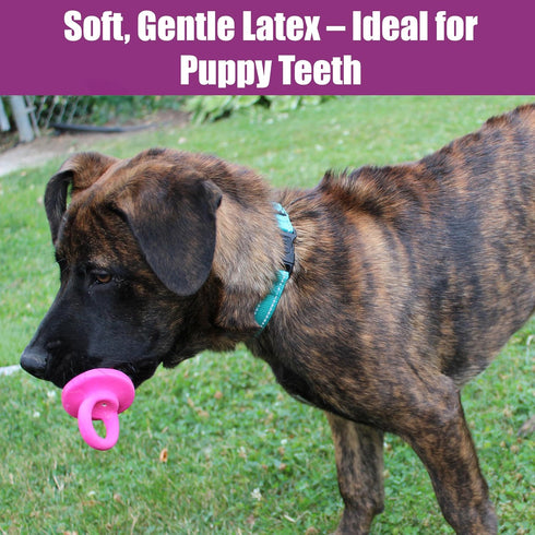 SPOT 4.5 Inch, Puppy Pacifier Latex Dog Toy Soft Binky-Shaped Chew for Teething Puppies & Small Dogs, for Light Chewers