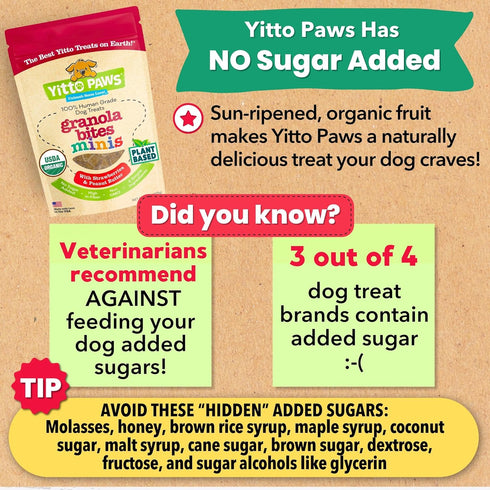 Organic Puppy Treats - Healthy Dog Training Treats, All Natural Dog Biscuits for Small Dogs & Puppies, Mini Peanut