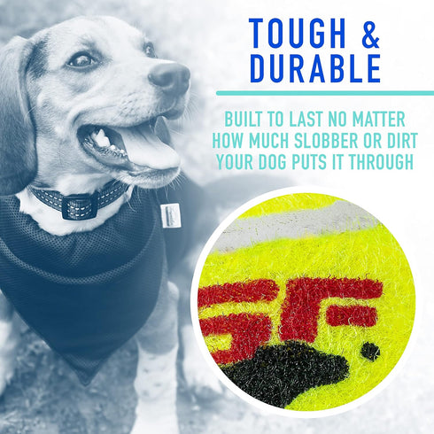 Franklin Pet Supply RSF Squeak Mini 1.75" Tennis Balls, Dog Toy Squeaks When Squeezed, Pack of 12