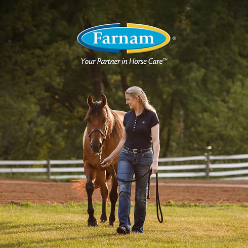 Farnam Endure Roll-On Fly Repellent for Horses, 3 Ounces, for Sensitive Areas