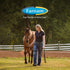 Farnam Endure Roll-On Fly Repellent for Horses, 3 Ounces, for Sensitive Areas