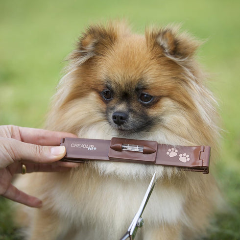 CreaPet Quiet Pet Grooming Kit - Low Noise Cordless Grooming Clip for Sensitive Dogs, Cats, and Horses
