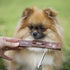 CreaPet Quiet Pet Grooming Kit - Low Noise Cordless Grooming Clip for Sensitive Dogs, Cats, and Horses